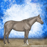 Horse Color:Silver Grullo 