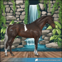Horse Color:Silver Brown Tobiano