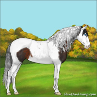Horse Color:Brown Splash Tobiano 