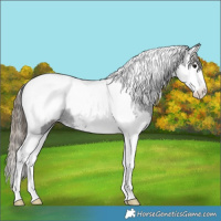Horse Color:Smoky Black Splash Tobiano Snowcap 