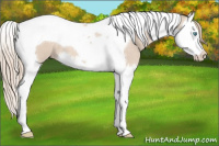 Horse Color:Smoky Creme Splash Tobiano Varnish 
