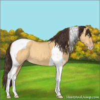 Horse Color:Sable Cream Champagne Dun Tobiano 