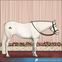 Horse Color:Buckskin Roan Pearl and Silver Buckskin Roan Pearl