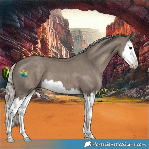 Horse Color:Silver Grullo Splash 