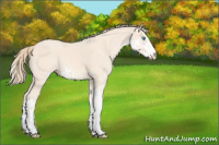 Horse Color:Perlino Sabino  and Perlino Sabino 