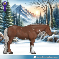 Horse Color:White Spotted Silver Black Tobiano 