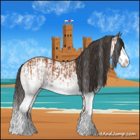 Horse Color:White Spotted Bay Splash  and White Spotted Bay Splash 