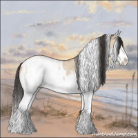 Horse Color:White Spotted Bay Roan Dun Splash  and White Spotted Bay Roan Dun Splash 