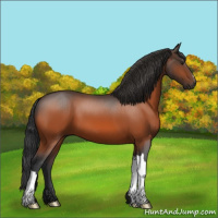 Horse Color:Brown 