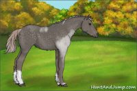 Horse Color:Silver Black Tobiano 