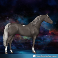 Horse Color:Silver Black Tobiano 
