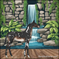 Horse Color:White Spotted Brown 