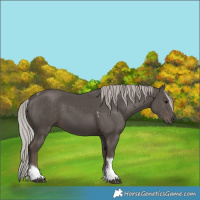 Horse Color:Silver Black Tobiano 