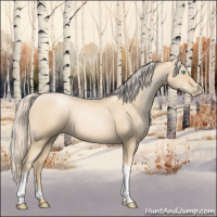 Horse Color:Gold Cream Champagne Pearl 