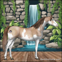 Horse Color:Brown Pearl Sabino Splash 