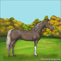 Horse Color:Silver Black 