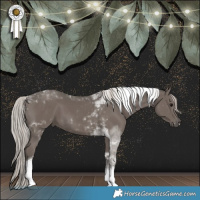 Horse Color:Silver Black Tobiano