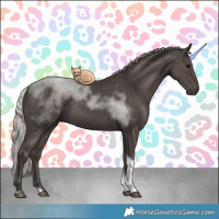 Horse Color:Silver Black Tobiano