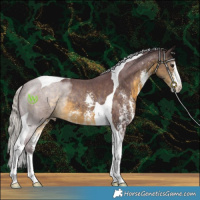 Horse Color:Chocolate Silver Buckskin Sabino Tobiano
