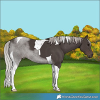 Horse Color:Silver Black Mushroom Tobiano 