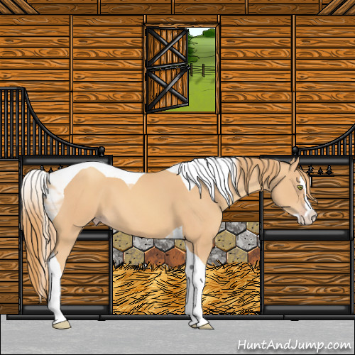 Horse Color:Gold Champagne Splash Tobiano 