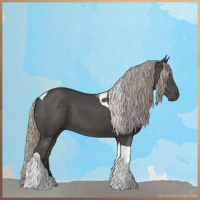 Horse Color:Silver Black Tobiano