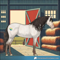 Horse Color:Amber Champagne Roan Dun 