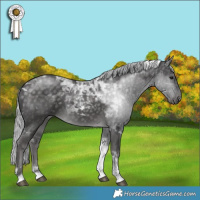 Horse Color:Platinum Silver Buckskin Tobiano 