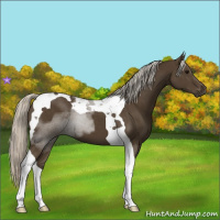 Horse Color:Silver Smoky Black Tobiano 