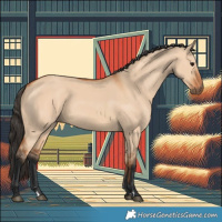Horse Color:Bay Dun
