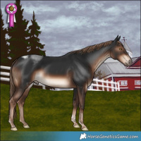 Horse Color:Liver Chestnut Tobiano 