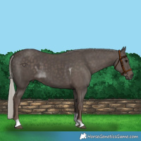 Horse Color:Silver Black Tobiano
