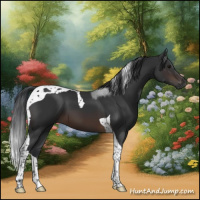 Horse Color:Brown Tobiano