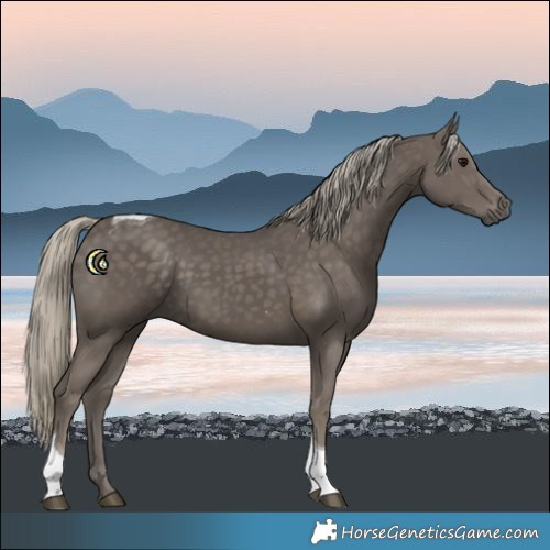 Horse Color:Silver Smoky Black Tobiano 
