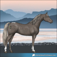 Horse Color:Silver Smoky Black Tobiano 