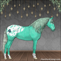 Horse Color:Gray Watercolor Silver Black Appaloosa 