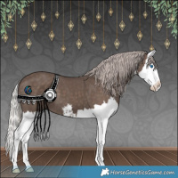 Horse Color:White Spotted Silver Black Splash 