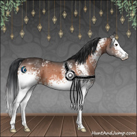 Horse Color:White Spotted Brown 