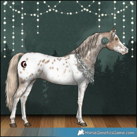 Horse Color:White Spotted Chocolate Palomino Appaloosa Rabicano 
