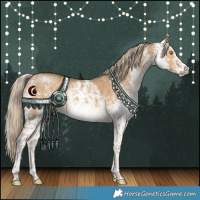 Horse Color:White Spotted Chocolate Palomino Dun 