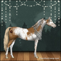 Horse Color:White Spotted Chocolate Palomino Tobiano Rabicano 
