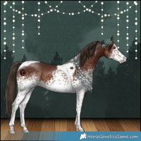 Horse Color:White Spotted Liver Chestnut Tobiano 