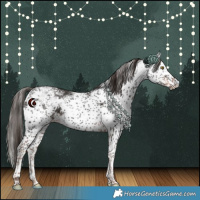 Horse Color:White Spotted Liver Chestnut Sabino 