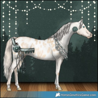 Horse Color:Chocolate Palomino Pearl Dun Sabino Tobiano Appaloosa 