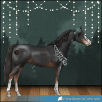 Horse Color:White Spotted Liver Chestnut Tobiano 