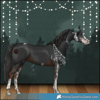Horse Color:White Spotted Liver Chestnut Tobiano 
