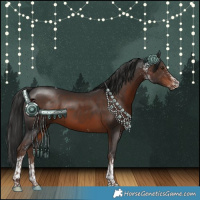 Horse Color:White Spotted Liver Chestnut Tobiano 