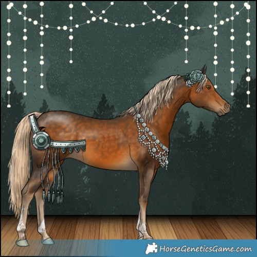 Horse Color:Chocolate Palomino Tobiano 