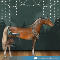 Horse Color:Chocolate Palomino Tobiano 