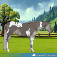 Horse Color:Silver Black Tobiano